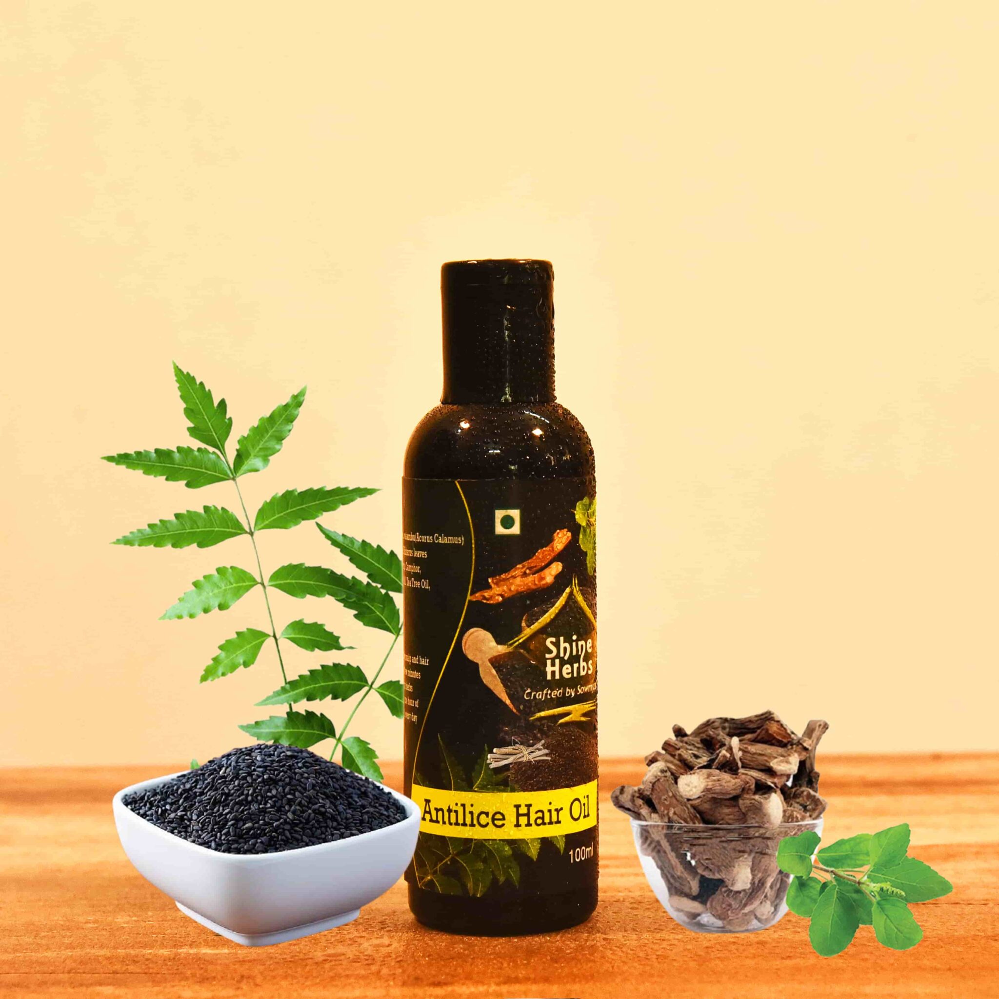 Share 143+ camphor for hair lice super hot tnbvietnam.edu.vn