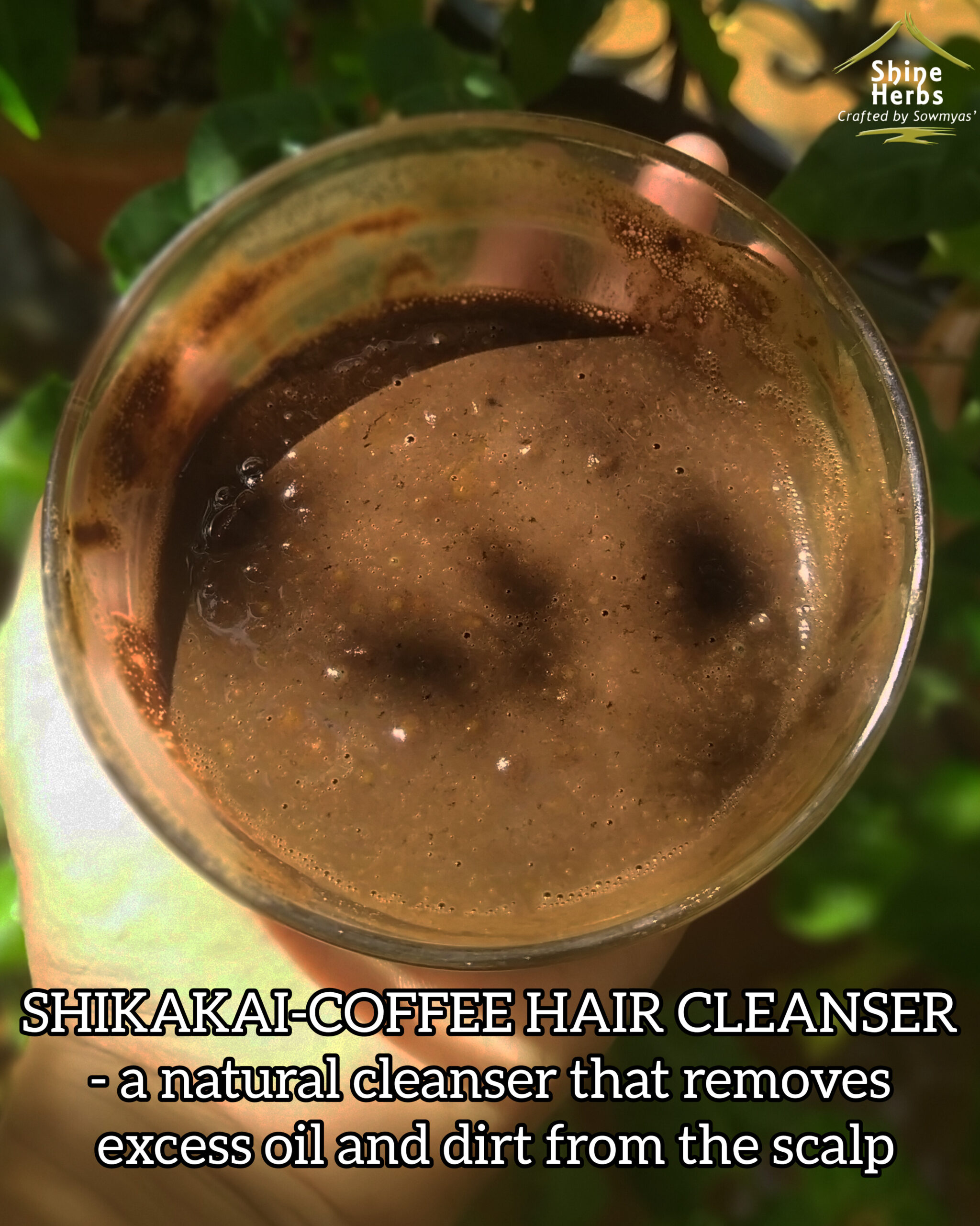 Coffee - Shikakai non foaming herbal hair cleanser - Image 2
